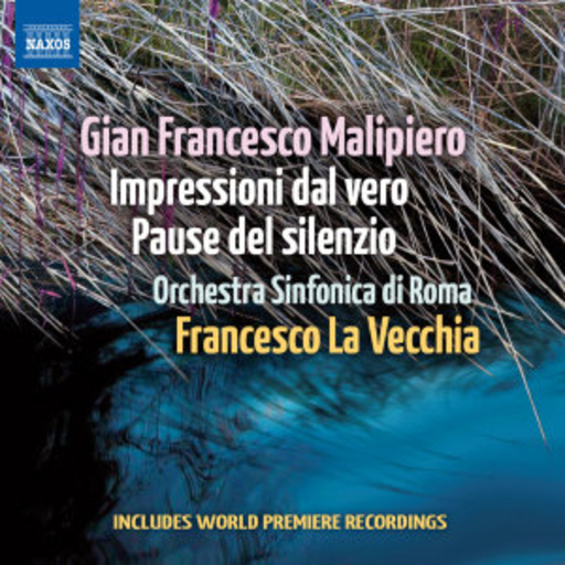 Francesco La Vecchia/Orchestra Sinfonica Di Roma – Impressioni Dal Vero
