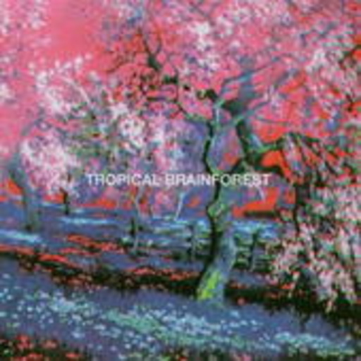 Michels – Percewood's Onagram - Tropical Brainforest
