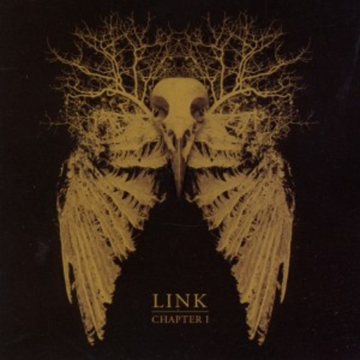 Link – Chapter I