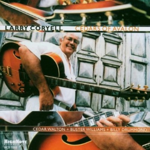 Larry Coryell – Cedars Of Avalon