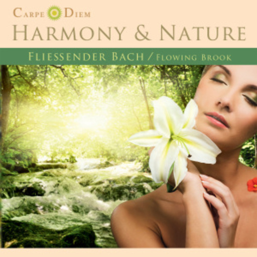 Diverse – Harmony & Nature - Fließender Bach