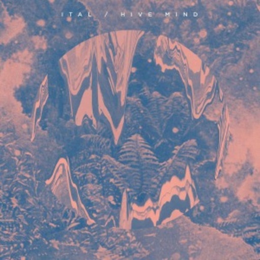 Ital – Hive Mind
