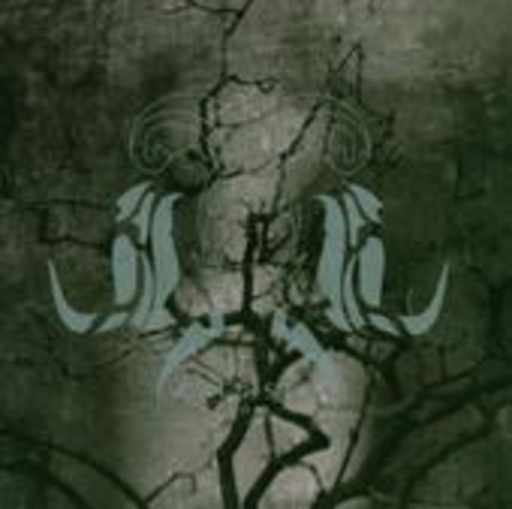 Callisto – Noir