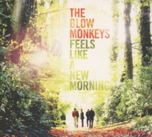 The Blow Monkeys – Feels Like A New Morning