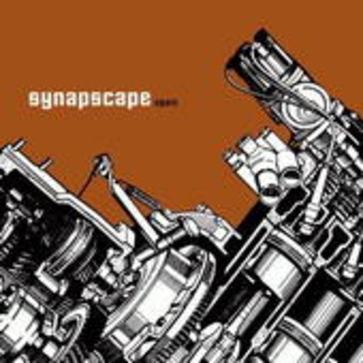 Synapscape – Again
