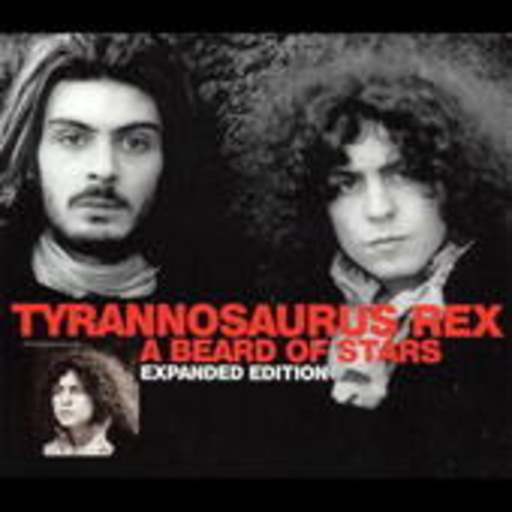 Tyrannosaurus Rex – A Beard Of Stars