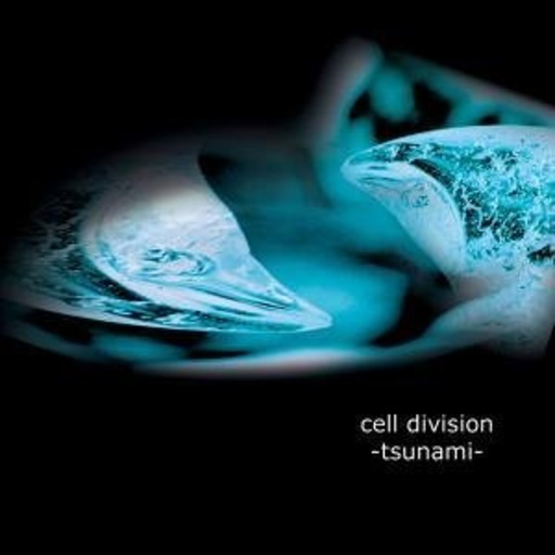 Cell Division – Tsunami