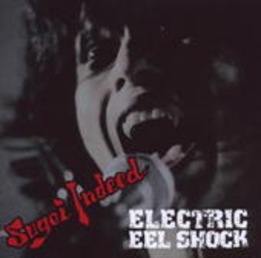 Electric Eel Shock – Sugoi Indeed