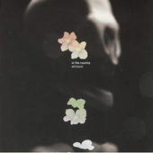 In The Country – Whiteout