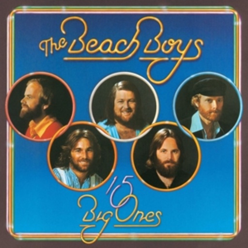 The Beach Boys – 15 Big Ones