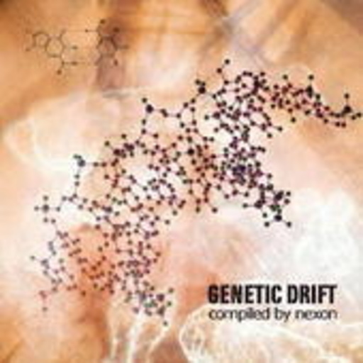 Diverse – Genetic Drift