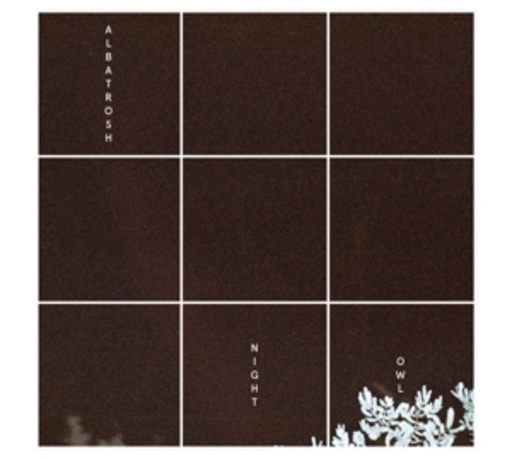 Albatrosh – Night Owl