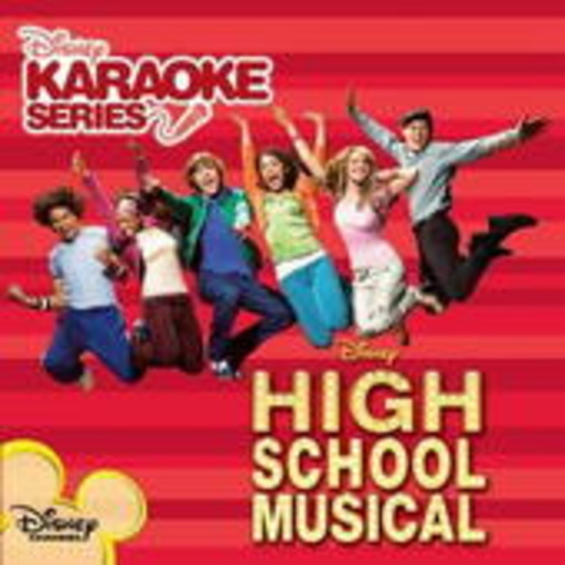 Diverse – High School Musical - Karaoke