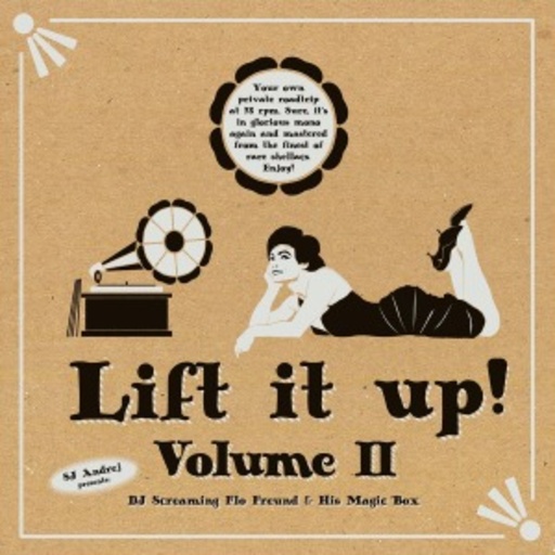 Diverse – Lift It Up! Volume II - SJ Andrej presents