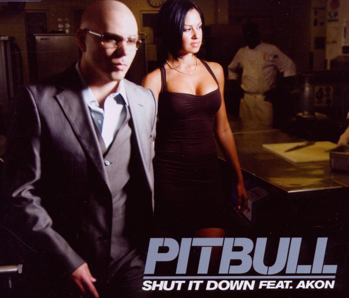 Pitbull feat. Akon – Shut It Down