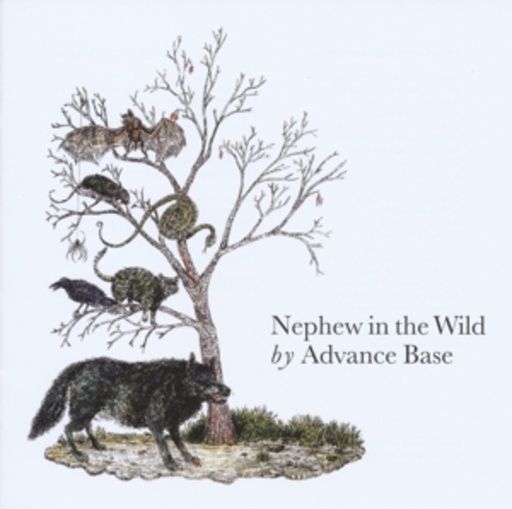 Advance Base – Nephew In The Wild