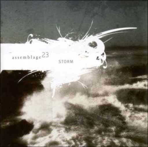Assemblage 23 – Storm