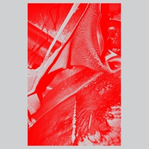 Helm – Olympic Mess