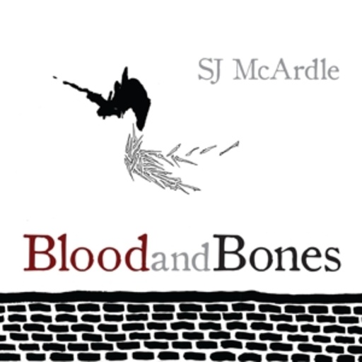 SJ McArdie – Blood And Bones