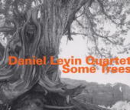 Daniel Levin Quartet – Some Trees