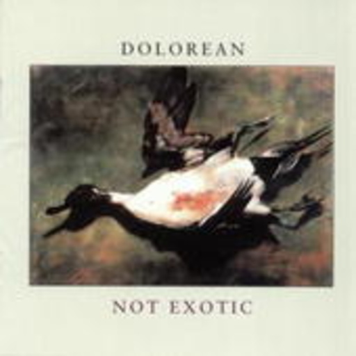 Dolorean – Not Exotic