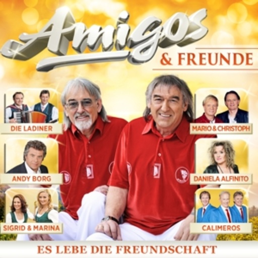 Diverse – Amigos & Freunde