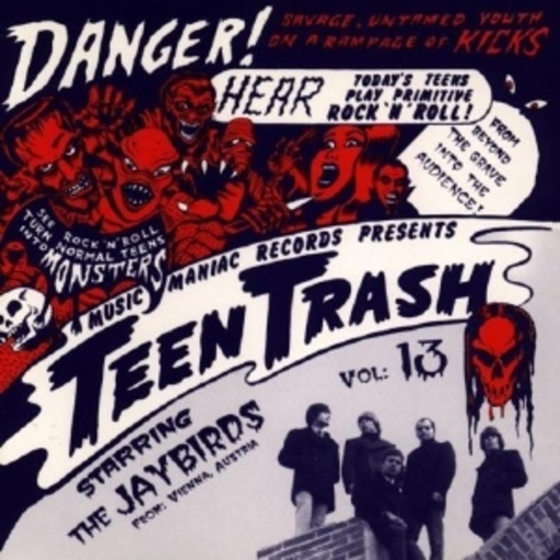 Jaybirds – Teen Trash 13