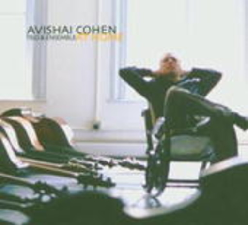 Avishai Cohen – At Home