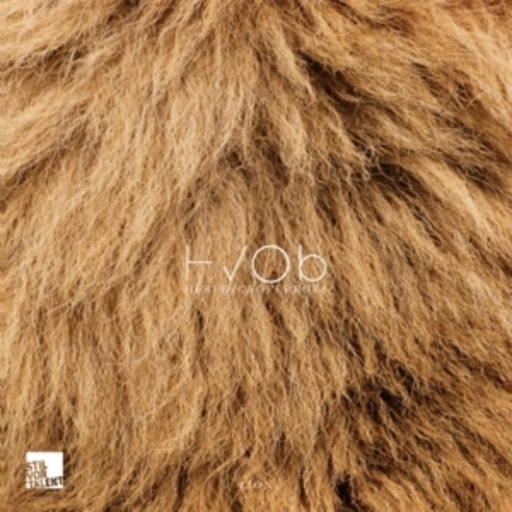 HVOB – Lion