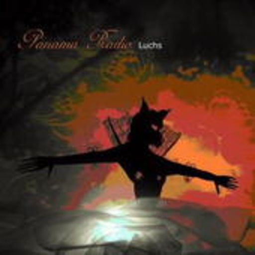 Panama Radio – Luchs