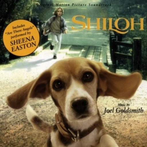 Joel Goldsmith – Shilo
