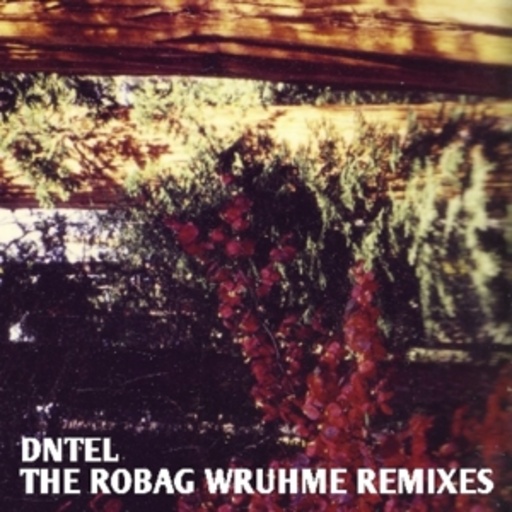 Dntel – The Robag Wruhme Remixes