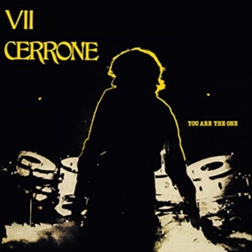 You Are The One (VII)