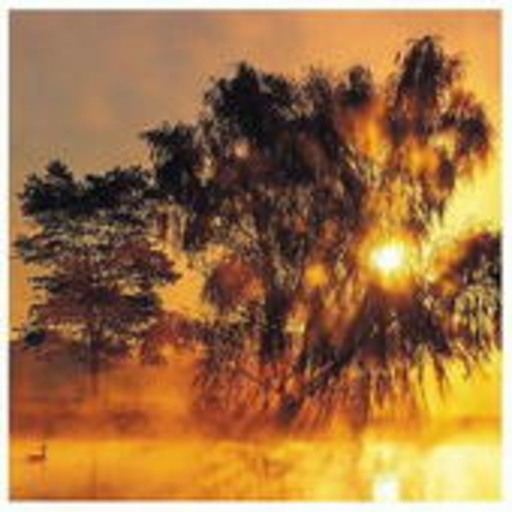 Diverse – Silent Memories Vol. 1