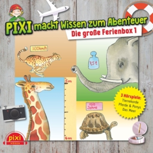 Diverse – Pixi Wissen - Die große Ferienbox 1