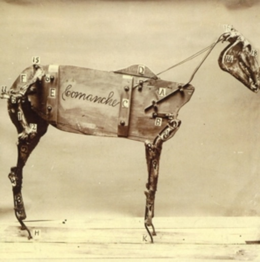 Chadwick Stokes – The Horse Comanche