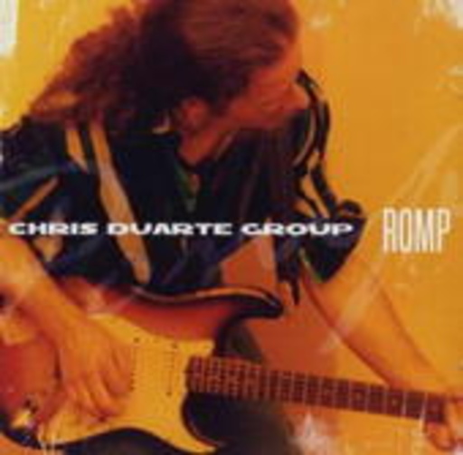 Chicks On Speed – Romp