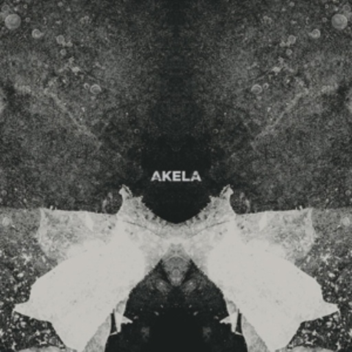Akela – Akela