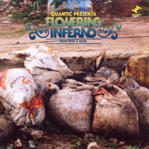 Quantic Presenta Flowering – Dog With A Rope