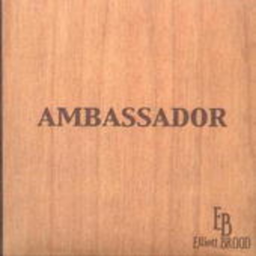 Elliott Brood – Ambassador
