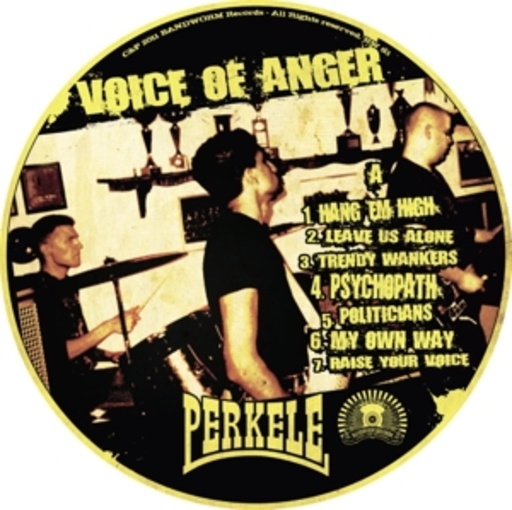 Voice Of Anger