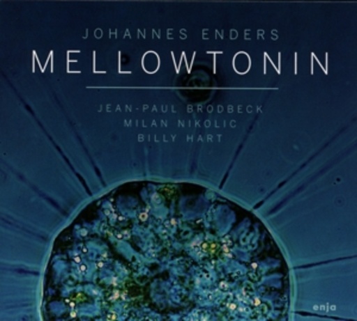 Johannes Enders – Mellowtonin