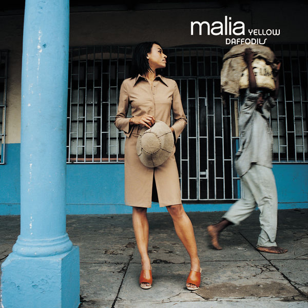 Malia – Yellow Daffodils