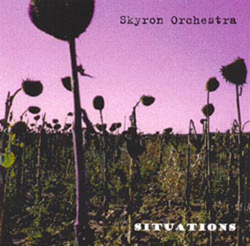 Skyron Orchestra – Situations