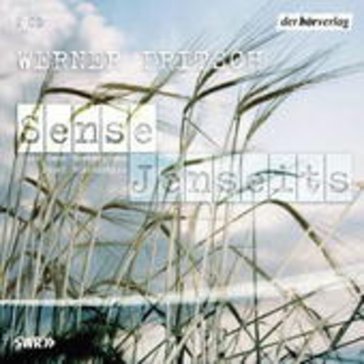 Werner Fritsch – Sense - Jenseits