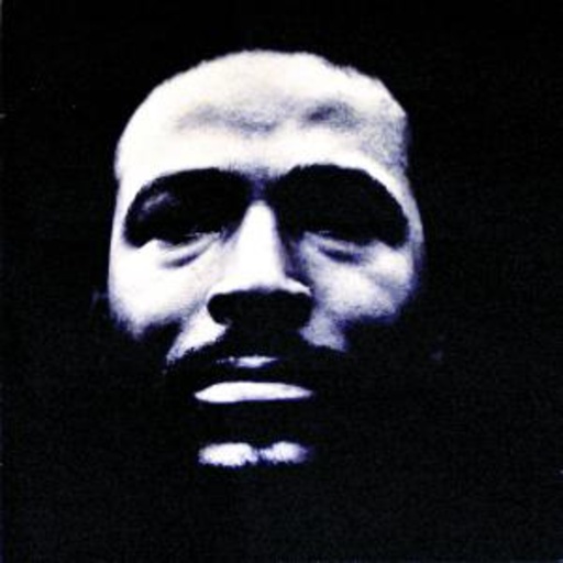 Marvin Gaye – Vulnerable Session
