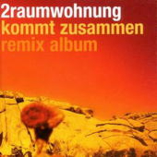 2raumwohnung – Kommt zusammen - Remix Album