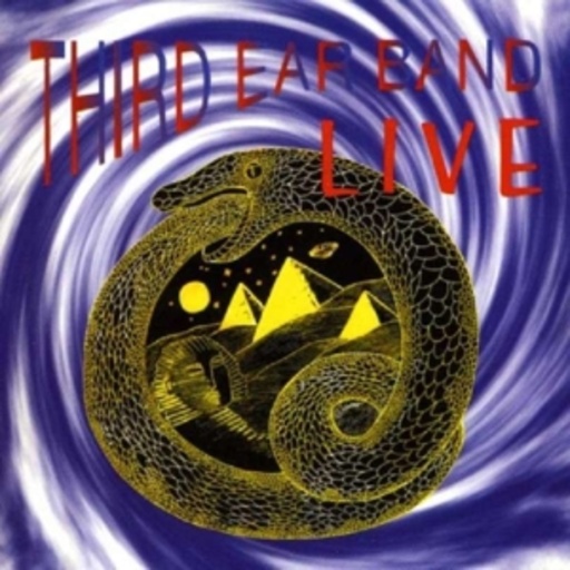 Third Ear Band – Live