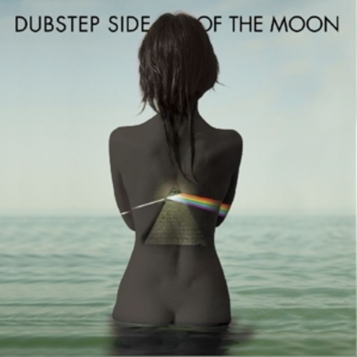 Diverse – Dubstep Side Of The Moon