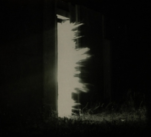 Fink – Horizontalism